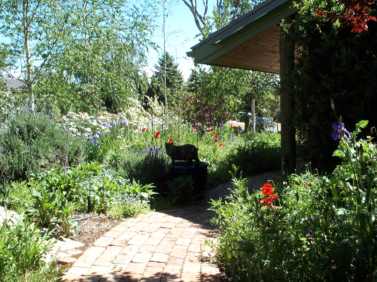 Gardens Archive Open Gardens Canberra 