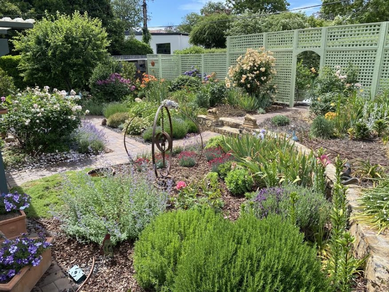 Baker Garden Open Gardens Canberra