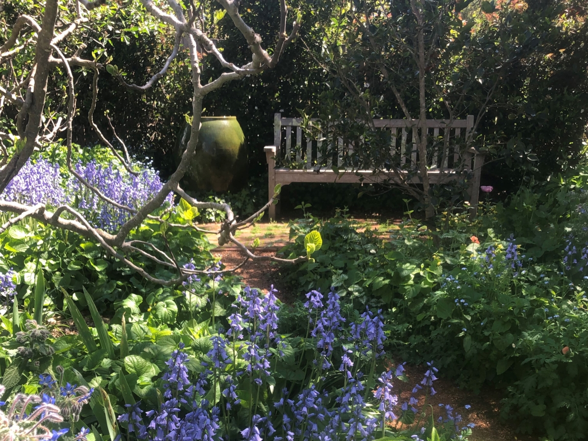 Gubler Garden Open Gardens Canberra
