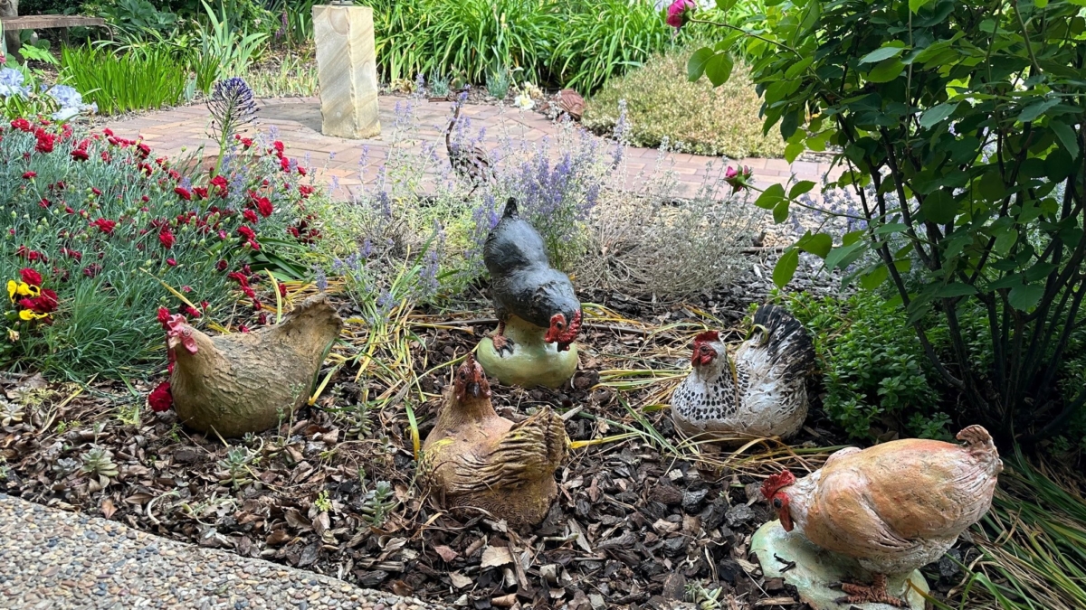 Baker Garden Open Gardens Canberra