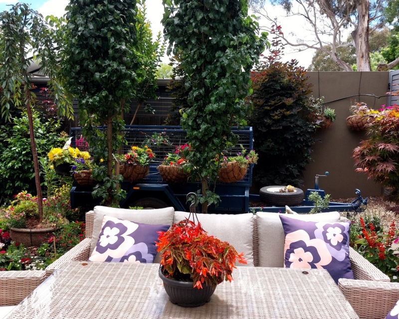 Jewel Box Open Gardens Canberra