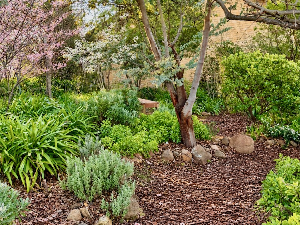 Barrow Place Side Garden Spring