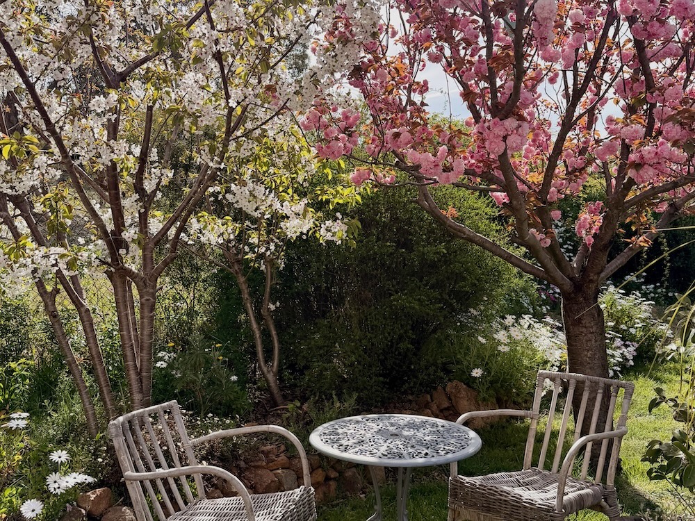 Barrow Place Top Garden