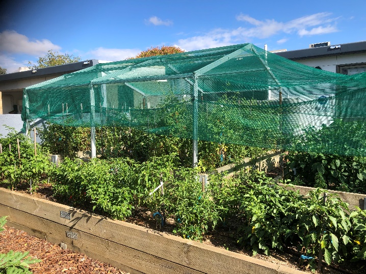 Canberra city Care 1